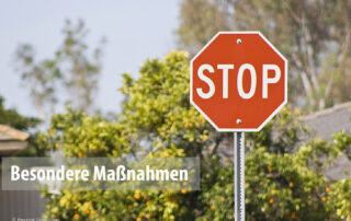 Ein Stop-Schild vor einem Orangenbaum.