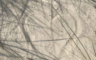 sommer-sand-herz