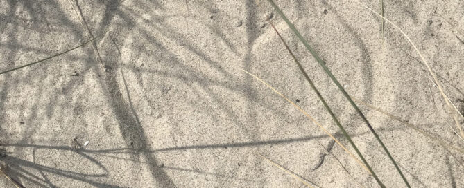 sommer-sand-herz